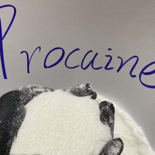 Procaine Hydrochloride (CAS 51-05-8)